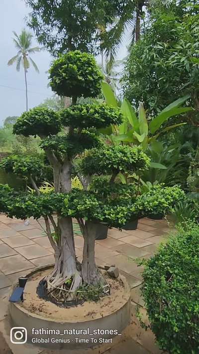 stock available in kasaragod