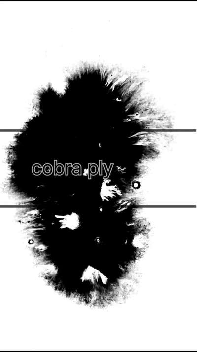 cobra ply 💯
