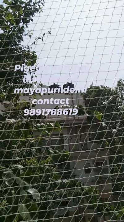 Birds netting installation// mayapuri delhi contact number 9891 788619