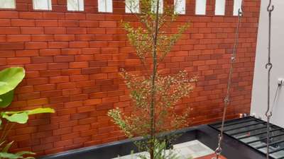 Courtyard  #budgethomes  #courtyardhouse #interior #keralahomedesignz