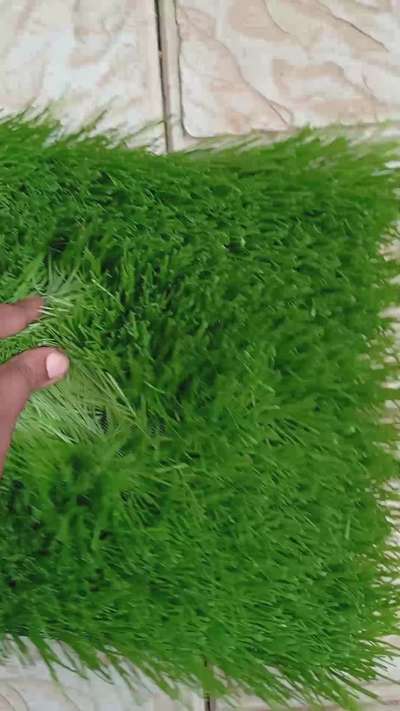 #artificialgrassexpert #artificialgrass #artificialgrassinstallation