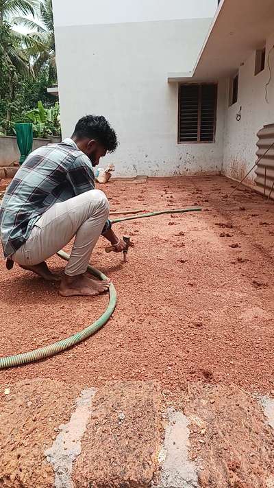 anti termite treatment 1st stage