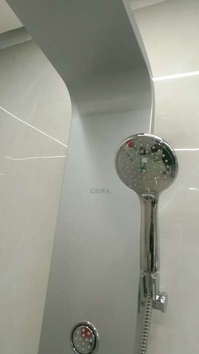 Shower panel cera