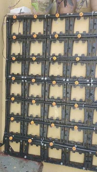 vertical vall par lage pedo ko timer ke sath pani ka system