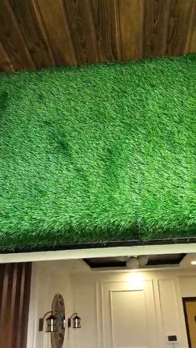 #artificialgrass  #grass_in_kids_school  #grass  #InteriorDesigner  #HouseDesigns  #HomeDecor  #wallgrass