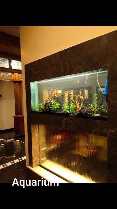 aquarium partition  
 #partition #aquarium  #wall_aquarium  #partitionwall  #aquriumpartition