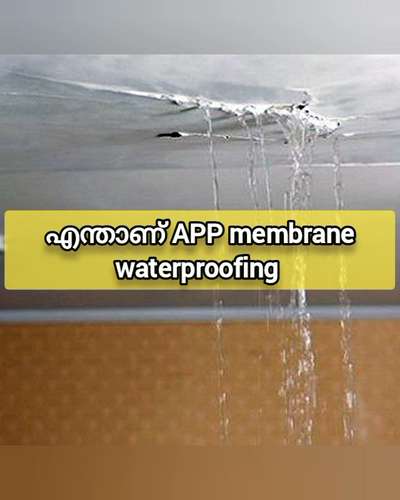 #creatorsofkolo #kasaragod #waterproof #waterproofing #waterproofyourhome #diywaterproof #howtowaterproof #leakproof #leakprevention #homeimprovement#creatorsofkolo  #roofing  #kerala  #bestroofing  #RoofingIdeas  #bestrooftilesinkerala  #bestrooftiles  #roofing  #roofing  #coolingroof  #cooling  #coolingsystem #Kasargod #renovations #home #beforeandafter #modern_ #modernhouses #KitchenRenovation #ideas #new #home #HouseRenovation  #renovation #RenovationProject  #coolingroof  #coolingtiles  #SmallBudgetRenovation #changes