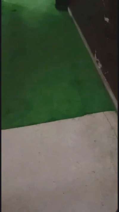 Artificial grass work by Chetan interior in Sec 18 noida