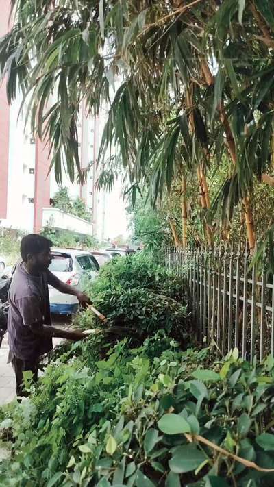 GARDEN DESIGNING  @Thiruvananthapuram 
#LandscapeGarden #gardenmaintenance #Architect  #architect #architecture #design #interiordesign #art #travel #realestate #architecturephotography #designer #architecturelovers #archilovers #newyork #artist #photography #building #luxury #interior #newyorkcity #builder #home #trivandrum #LandscapeGarden #Landscape #landscapinggrass  #drawing #arquitectura #photooftheday #life #instagood #Kollam  #keralastyle  #creativity #construction