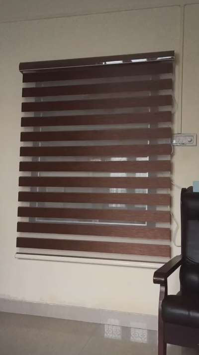 Zebra Blinds with Alexa