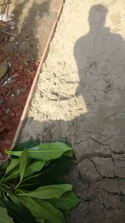 sand  #palaster
