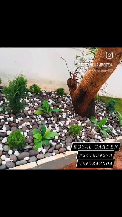 #HomeDecor  #LandscapeGarden  #BangaloreStone