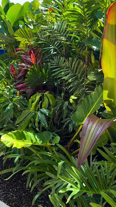 Tropical landscaping  go green #LandscapeIdeas #LandscapeGarden #tropicalgarde #greencaplandscape #new #LandscapeDesign #VerticalGarden #treaditional #