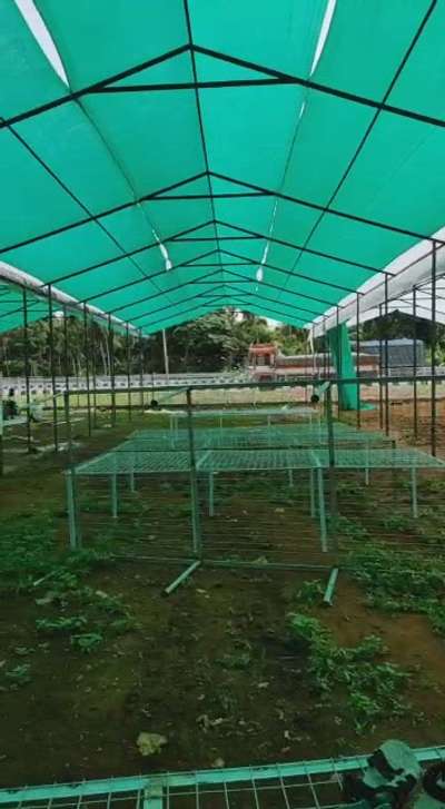 കുറഞ്ഞ ചെലവിൽ പോളിഹൗസ് നിർമിക്കാൻ ഇപ്പൊ തന്നെ വിളിക്കു #polyhouse #greenhouse  #polyhouse