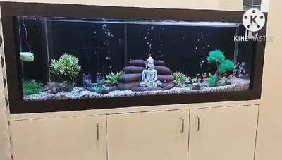 meditating Budha  #aquarium #aquascaping #LivingRoomInspiration #interriordesign #naturelove #positivevibes #partiction #fishtank