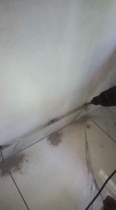 #pestcontrol  #termitecontrol  #termitetreatment