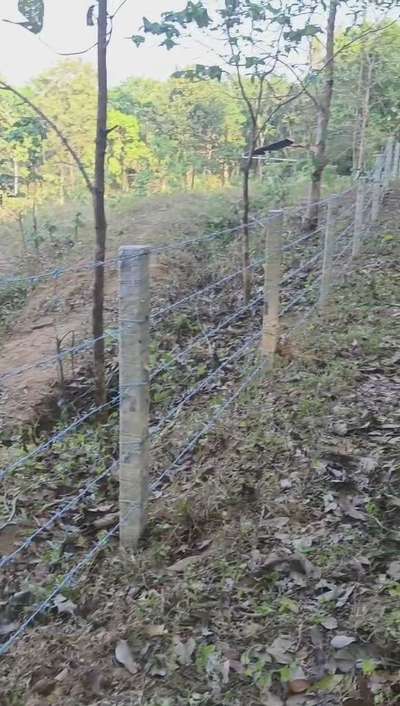 TATA Ayush Barbed wire fencing.
Thrissur #fencings  #cheyinling net #slabewall