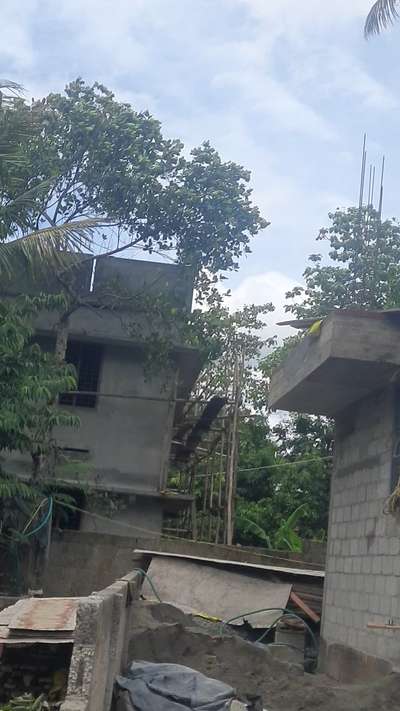 First floor wall & column rebar installation