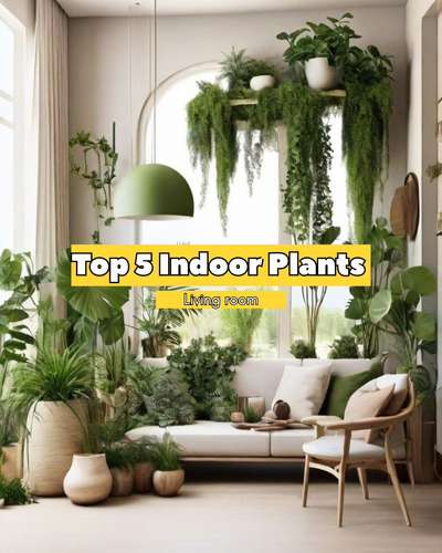 Low maintenance indoor plants for your cozy Living space 

#IndoorPlants #interior #creatorsofkolo #kolo #koloapp #InteriorDesigner #living #LivingroomDesigns #LivingRoomIdeas #plants #snakeplant #peacelilly #monstera #fiddleleaffig #zzplant #home #newhome #HouseDesigns