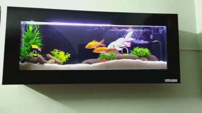 plasma Aquarium