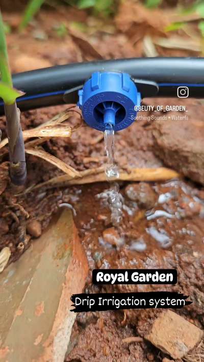 #irrigation  #GardeningIdeas  #LandscapeIdeas  #LandscapeGarden