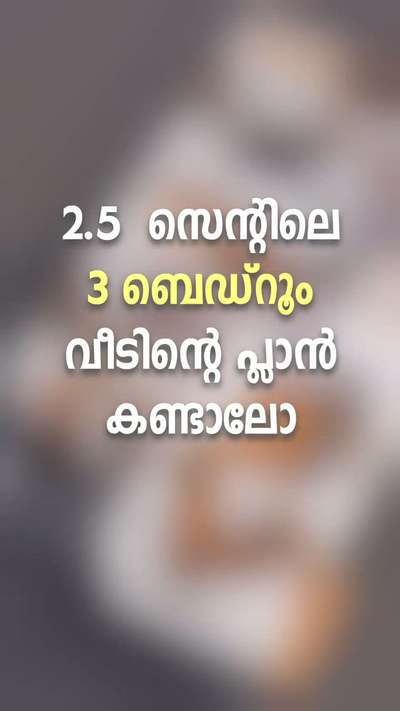 2.5 സെന്ററിൽ നിർമ്മിക്കാവുന്ന 3bhk  ഇരുനില വീടിൻറെ പ്ലാൻ #3Dfloorplans #FloorPlans #SmallHouse #3BHK #2centplot #3centPlot #budjecthomes #2storyhouse #KeralaStyleHouse #keralahomedesignz #floorplan  #newhome