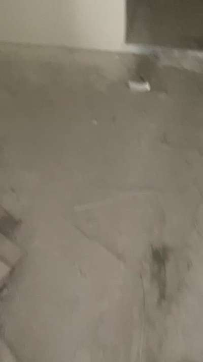 Before Tiles grouting and epoxy  #epoxytables  #esdee_epoxy  #FlooringTiles  #grouting Before