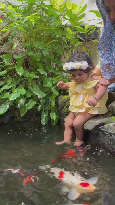 Happy client is our goal. Client's baby guest enjoying the koi pond.
 #koipond #koiponddesign #fishtank #fishpond #aquarium #watergarden #landscape