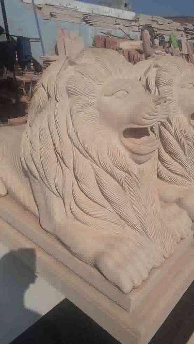 lions set  #