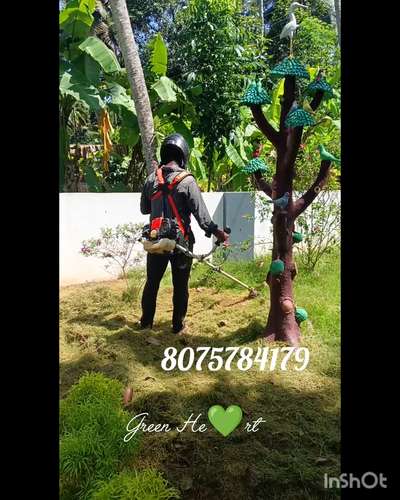 #Green heart#💚#Landscaping#Stone work#vertical garden#vegitable garden#fruits garden#Garden maintenance#deforesation#Interior&Exterior gardening#House cleaning#