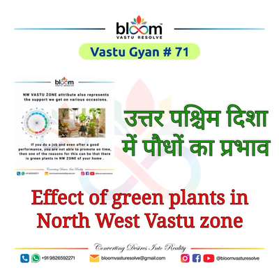 Your queries and comments are always welcome.
For more Vastu please follow @bloomvasturesolve
on YouTube, Instagram & Facebook
.
.
For personal consultation, feel free to contact certified MahaVastu Expert through
M - 9826592271
Or
bloomvasturesolve@gmail.com

#vastu 
#mahavastu #mahavastuexpert
#bloomvasturesolve
#vastuforhome
#vastuformoney
#vastureels
#opportunities
#northwest_zone
#vastulogy
#वास्तु
#vastuexpert
#उत्तरपश्चिमदिशा
#indoorplants