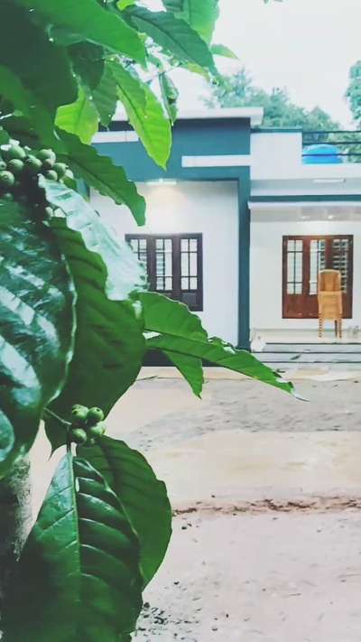 Budget home @ Wayanad 
PH : 9656955143

800 sqft