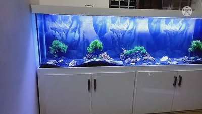 # modular type aquarium available in all sizes