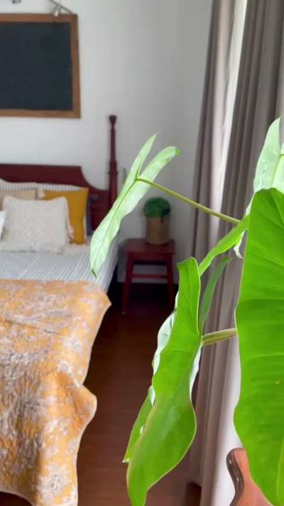 Hindi Carpenter kerala Carpenter work all Kerala service Hindi team 24/7  available  Hindi bala carpenter interior work hindi bala carpenter plywood work Kannur ernakulam Kozhikode  #carpentar #kerala work #interior #work #interior #designing #plywood work #gypsum https://wa.me/7868871786-  call  https://wa.me/9993331075_
   https://youtube.com/@carpentertricks9042

http://www.google.com/maps/contrib/108177606364855834062/

https://www.facebook.com/Kerala-interior-104665275810741/