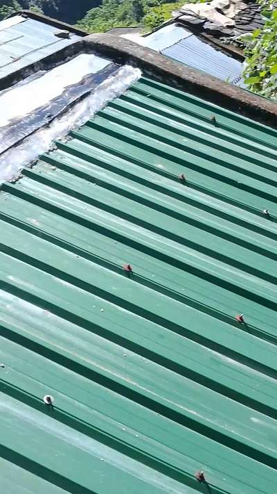 Tin Shed Waterproofing