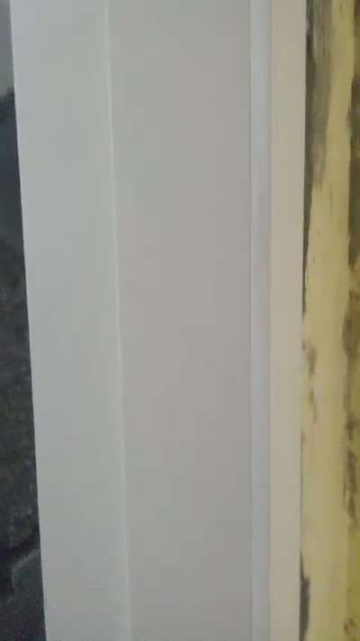 white 800*2400door frem design