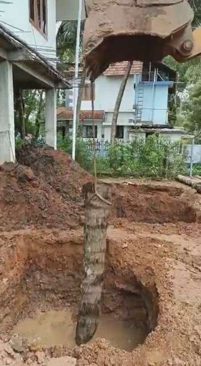 coconut piling @kumarakom