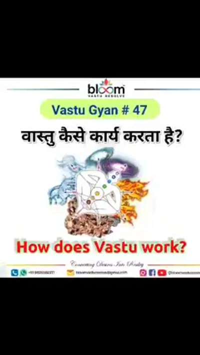 Your queries and comments are always welcome.
For more Vastu please follow @bloomvasturesolve
on YouTube, Instagram & Facebook
.
.
For personal consultation, feel free to contact certified MahaVastu Expert through
M - 9826592271
Or
bloomvasturesolve@gmail.com

#vastu 
#mahavastu #mahavastuexpert
#bloomvasturesolve
#vastuforhome
#vastuforhealth
#vastureels
#entrance
#toilet
#kitchen