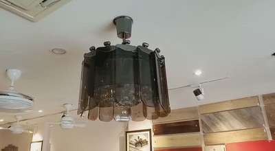 amazing fan design by fanzart.its a fan its a chandelier work in both ac and dc motor technology beauty and creative in single piece.