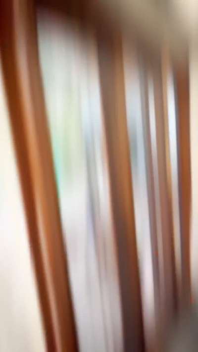 Pleated Screen And Openable Window 
mosquito Screens