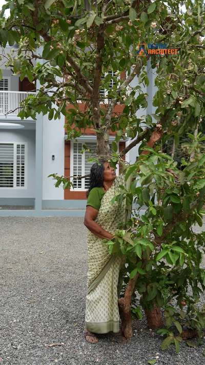 dream home doesn’t need a big budget — just the right design! ✨
Here’s our latest Palakkad residence — a low-budget home with a premium look and quality finish by AspireArchitect.
Smart planning. Elegant design. Lasting comfort. 💫

#AspireArchitect #Palakkad #KeralaHomeDesign #LowBudgetHome #PremiumLookHome #KeralaArchitecture #ArchitecturalDesign #AffordableLuxury #ModernHomeDesign #AspireArchitectPalakkad #QualityConstruction #KeralaArchitects #ResidentialProject #DreamHomeKerala #BudgetFriendlyHome #LuxuryFeelHome #AllKeralaProjects #AspireArchitecture #HomeDesignInspiration #ArchitectLife #KeralaInteriors #ContemporaryHomeDesign #CreativeArchitecture #ViralHomeDesign #AspireArchitectKerala