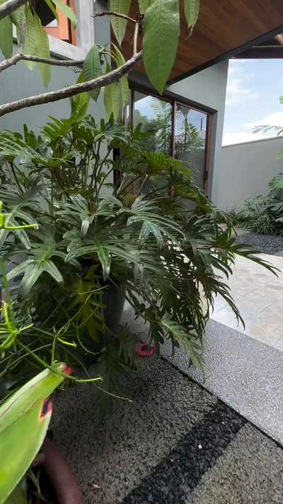 AK Green Concept

Upgrade Your Outdoor Space with Perfect Landscape


We Specialize In All Kerala


Landscape Design

River Stone's & pebbles

Indoor and Outdoor Plants

Installation & Hardscaping

Gardening Services

Irrigation & Watering

Artifical Grass 

Vertical Garden


നമ്മുടെ പ്രത്യേകതകൾ ആണ്

താങ്കളുടെ വിലയേറിയ സമയത്തിന് നന്ദി


Project Manger

Akhil V Mohanan 


 #GardeningIdeas  #VerticalGarden #LandscapeIdeas #LandscapeDesign #Designs #architecturedesigns #Architect