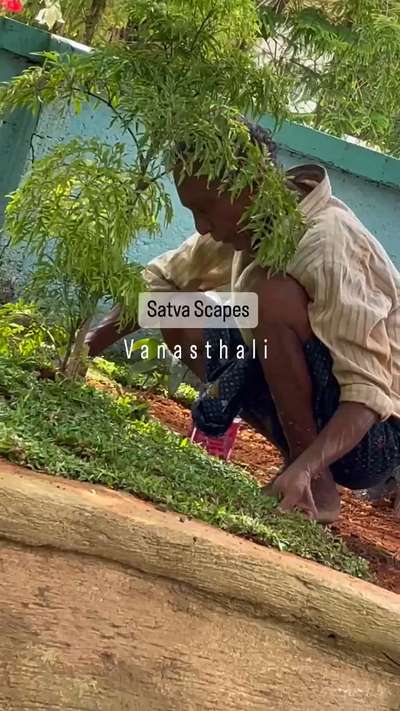 Nature friendly landscaping ideas >> call 9035994295 
SATVA Scapes, Vanasthali (വനസ്ഥലി) electrical, plumbing & garden work in progress>> #satvascapes >>

#oldtree #forest #GreenYodha #SatvaDesign #landscapedesign #landscaping #landscape #godsowncountry 

Satva Design Pusthakagramam, Perumkulam, Kottarakkara Mannadi Road, Kollam, Kerala 

#visit #pusthakagramam #perumkulam #sculpture #landcaoe #elephant PERUMKULAM #elephantlovers #forest #keralatourism #landscapephotography #landscapelovers #landscapedesign #teaser #video #prakashvarma പുസ്തകഗ്രാമം #satvavideos #satva #vanasthali #trendingreels #godsowncountry #satvadesign #teaser