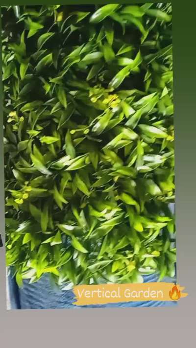 Vertical Garden 🌾🌾
All interior exterior products are available.... 
#VerticalGarden 
#ARTIFICIALPLANTS 
#Architectural&Interior