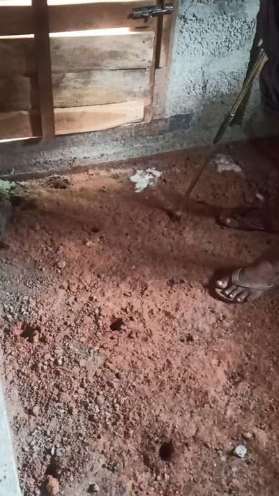 #termite control  #pest control