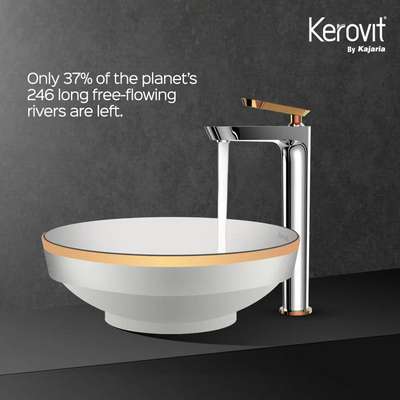 Rivers can end either in the ocean or in extinction. Depending on your actions.

 #kerovitbykajaria #kerovitisfreedom #clean #kerovit #bowlbasin