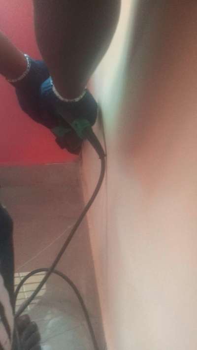 #pest control  #termite control