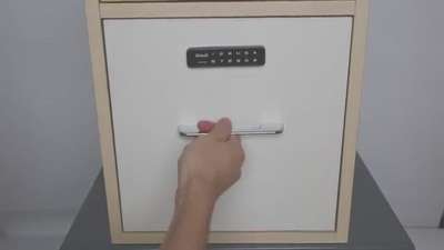 Cabinet Lock 3.0