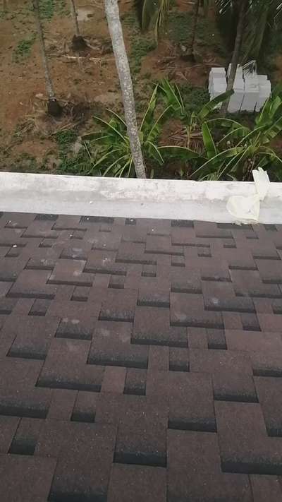 Roofing shingles
8129901508