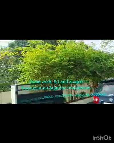 @#Green heart# Land scaping & stone work#monthly garden maintanence#vertical &vegitable garden# fruits garden# deforesation(കാട് വെട്ട് )#interior &exterior gardening🙏